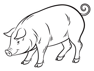Fototapeta premium Domestic Pig Standing Pose on White Background