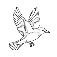 Obraz premium Black and white bird illustration with outstretched wings in flight against white background