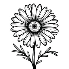 Black and white daisy flower illustration with stem and leaves on white background 1