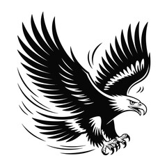 Fototapeta premium Black and White Eagle in Flight with Outstretched Wings