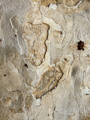 The wall is covered in peeling paint and has a rough texture