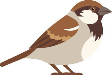 Close-up of a beautiful sparrow bird perched on a branch in natural daylight, isolated on white background. Perfect for wildlife, birdwatching, and nature-themed microstock content.