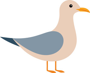 Seagull bird flying over sea, isolated gull in sky, wild seabird closeup, marine coastal wildlife, ocean shore avian species, beach seagull animal photo for nature and bird stock collection