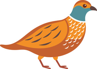 Beautiful quail bird close-up photo, wild quail in natural habitat, detailed quail feathers, quail wildlife photography, quail nature shot for Adobe Stock, Freepic, and microstock use