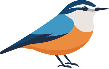 Beautiful close-up of nuthatch bird perched on tree bark, wildlife nature photography, small forest bird, colorful feathers, wild bird in natural habitat, high resolution stock image.