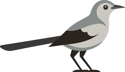 Beautiful mockingbird bird perched on branch, singing with open beak, detailed feathers, wildlife nature photography, isolated white background, vibrant colors, peaceful songbird image