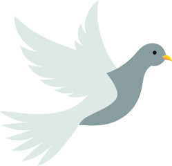 Beautiful white dove bird flying and perched, peaceful nature close-up, symbol of love and peace, isolated on white background, high resolution photo for creative projects and stock use