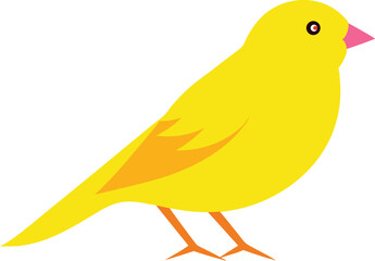 Bright yellow canary bird singing on branch, isolated small wild songbird close-up, nature wildlife pet bird photo, vibrant tropical canary image for backgrounds and designs.