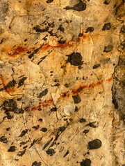 A rock with black and red stains on it