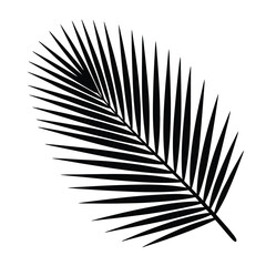 Obraz premium Black Palm Leaf Silhouette on White Background plant