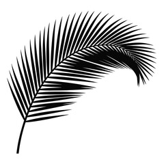 Obraz premium Black Palm Leaf Silhouette on White Background vector 1