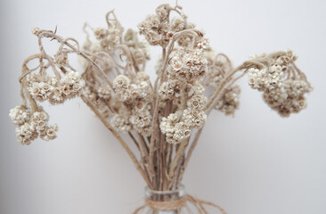 Delicate photographic still life of dried white flowers bouquet home decor print minimalist natural...
