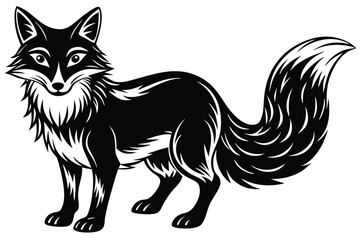 Bold black and white fox stands confidently, showing its distinctive markings and fluffy tail