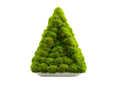 Lush green moss triangle in modern white planter, Isolated On Transparent Background, Cut Out