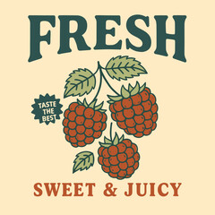 Raspberry vintage retro graphics, summer food print, girls t-shirt design, berry branch sketch, trendy fruit fashion vector art