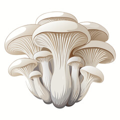 vector illustration of mushrooms