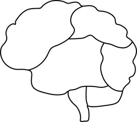  Human Brain Anatomy Outline Vector Illustration