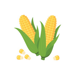 Obraz premium Vector illustration single and set of yellow corn in cartoon flat style. Cute corncob maize sign icon. Organic food, vegetables agriculture product. Restaurant menu concept