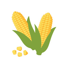 Obraz premium Sweet Corn Fresh, Ripe, and Ready to Eat - Delicious Maize Illustration