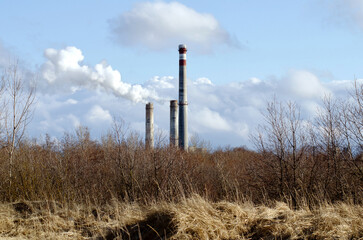 Tall chimneys of cement plant over scrub.