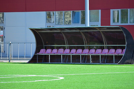 A row of pink chairs are lined up in front of a large, curved be