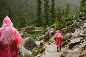 Hikers in pink ponchos walk rocky trail in rainy Banff forest