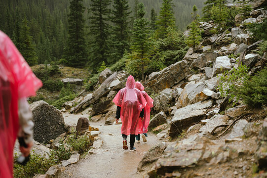 Backview of tourists in ponchos hike trail in Banff National Park