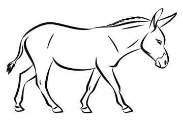 Fototapeta premium Cute Donkey Standing Calmly on White Background
