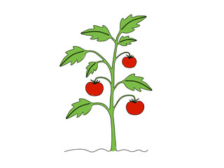 Abstract tomato bush in the garden,on the farm,agriculture,cottage. continuous single one line art drawing sketch, logo