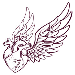 Anatomical heart with feathered wings outline symbol