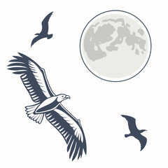 Majestic eagle soaring near full moon with seagulls bird flying