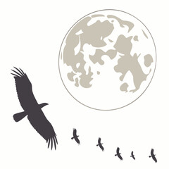 Flock of birds flying towards a large full moon vector