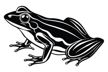 Striking stylized black and white frog conveys a classic amphibian look with bold artistic expression
