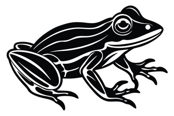 Cartoon green frog with yellow eyes sits calmly on the white background, creating a mascot