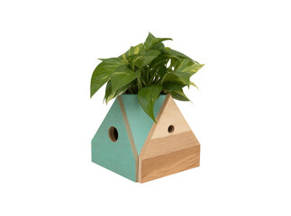 Modern wooden house shaped planter with green plant, Isolated On Transparent Background, Cut Out