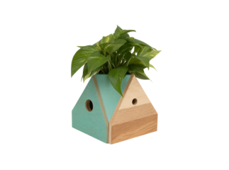 Modern wooden house shaped planter with green plant, Isolated On Transparent Background, Cut Out