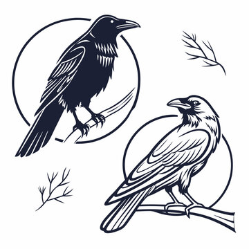 Two dark birds perched on branches within circles with decorative twigs crow raven