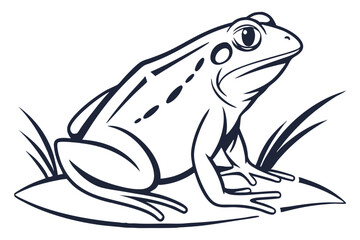 Striking black and white captures an amphibian animal form and unique spotted design