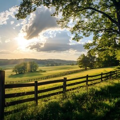 Fototapeta premium Lush green forest floor with tall sunlit trees in morning high resolution picture