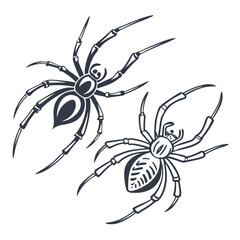 Two stylized dark blue spiders on white background arachnid insect