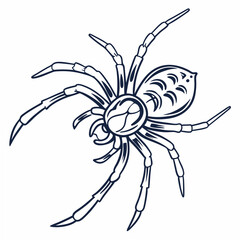 Stylized Spider with Dark Blue Outline arachnid insect