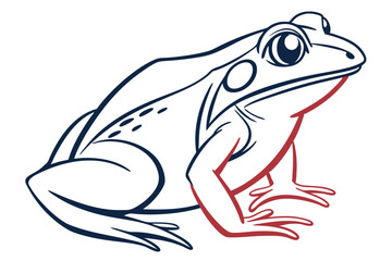 Striking black and white frog embodies amphibian elegance and minimalist design