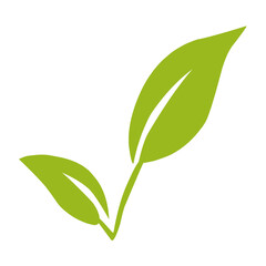 green leaf vector