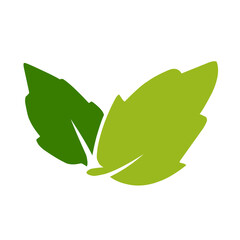 green leaf vector
