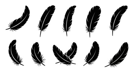 Black fluffy feather. Hand drawing vintage art realistic quill feathers for pen detailed isolated vector elegant silhouette sketch bird plume set