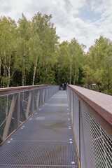 Daytime walking in a forest setting on a canopy path surrounded by lush trees