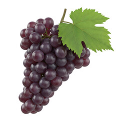 Fototapeta premium Photo of a bunch of ripe red grapes with a green leaf isolated on transparent background, showcasing their color and texture in a detailed closeup studio shot