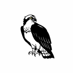 Illustration of a black and white osprey looking back silhouette
