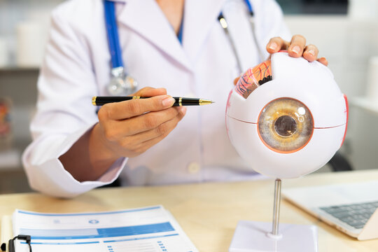 Doctor explaining eye anatomy with pen and model, medical consultation in bright office