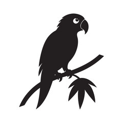 Tropical Parrot Perched On Branch
